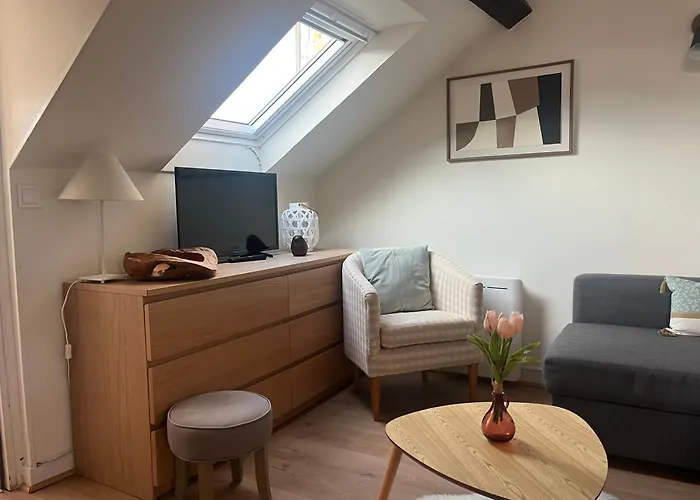 Appartement Sur Les Toits De *