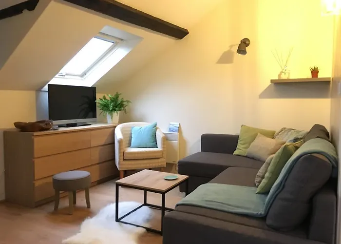 Apartment Sur Les Toits De